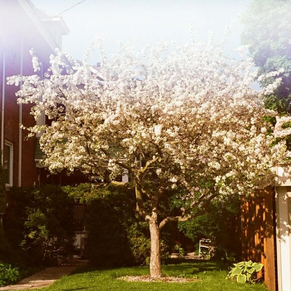 Nikkormat FT (Nikon) Camera Body - Please Read Description - Picture 8 of 8